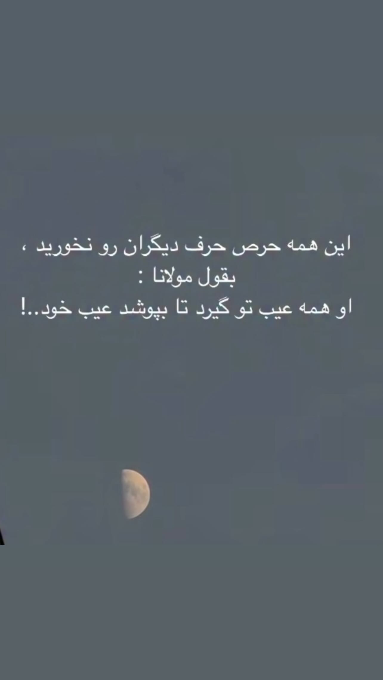  جدید ترین استوری اینستاگرام زهرا شوقى