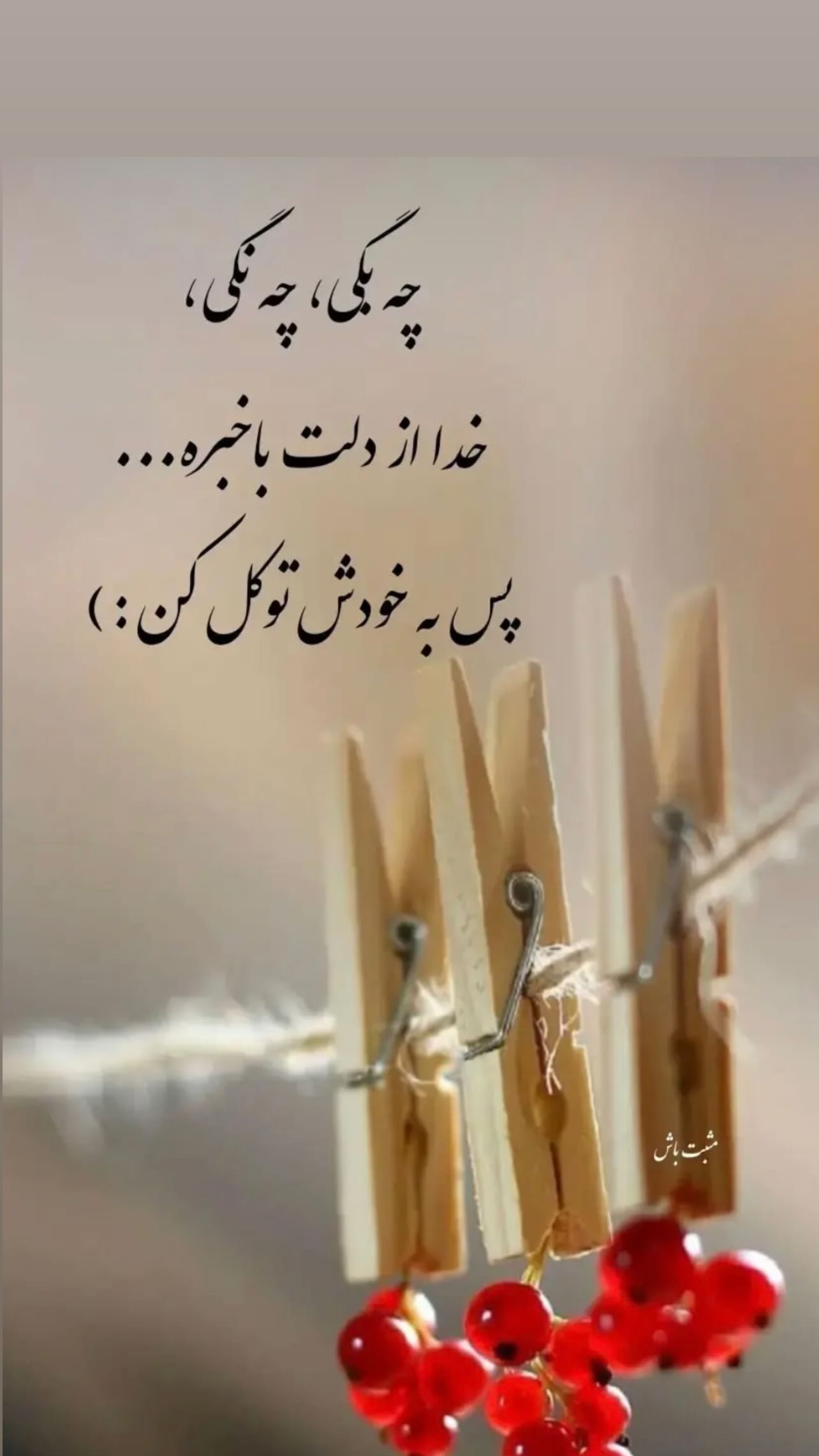  جدید ترین استوری اینستاگرام زهرا شوقى