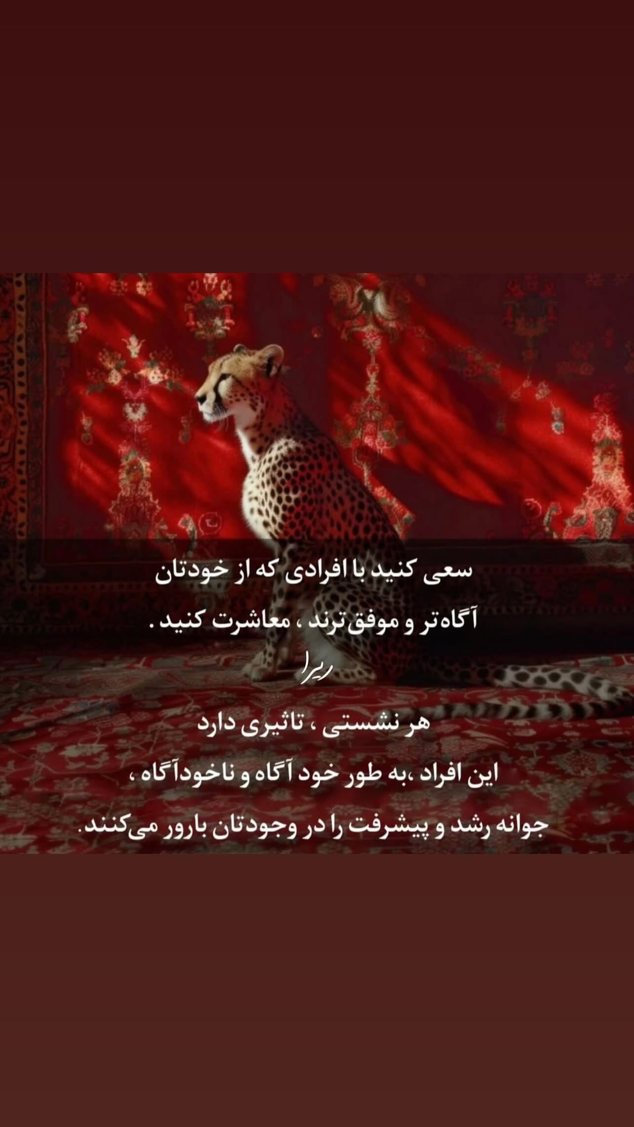  جدید ترین استوری اینستاگرام زهرا شوقى