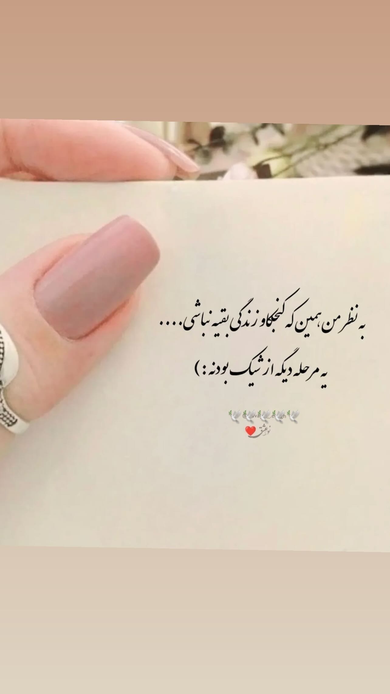  جدید ترین استوری اینستاگرام زهرا شوقى