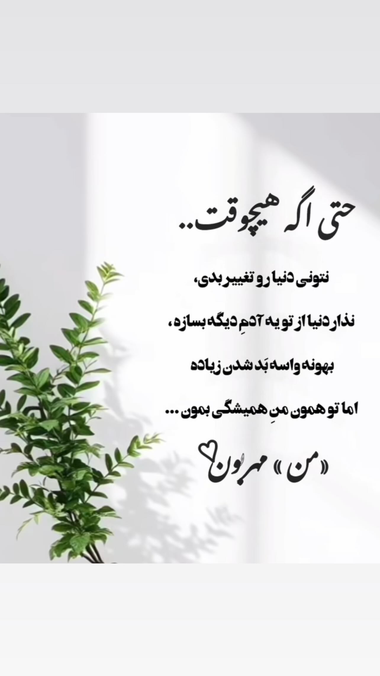  جدید ترین استوری اینستاگرام زهرا شوقى
