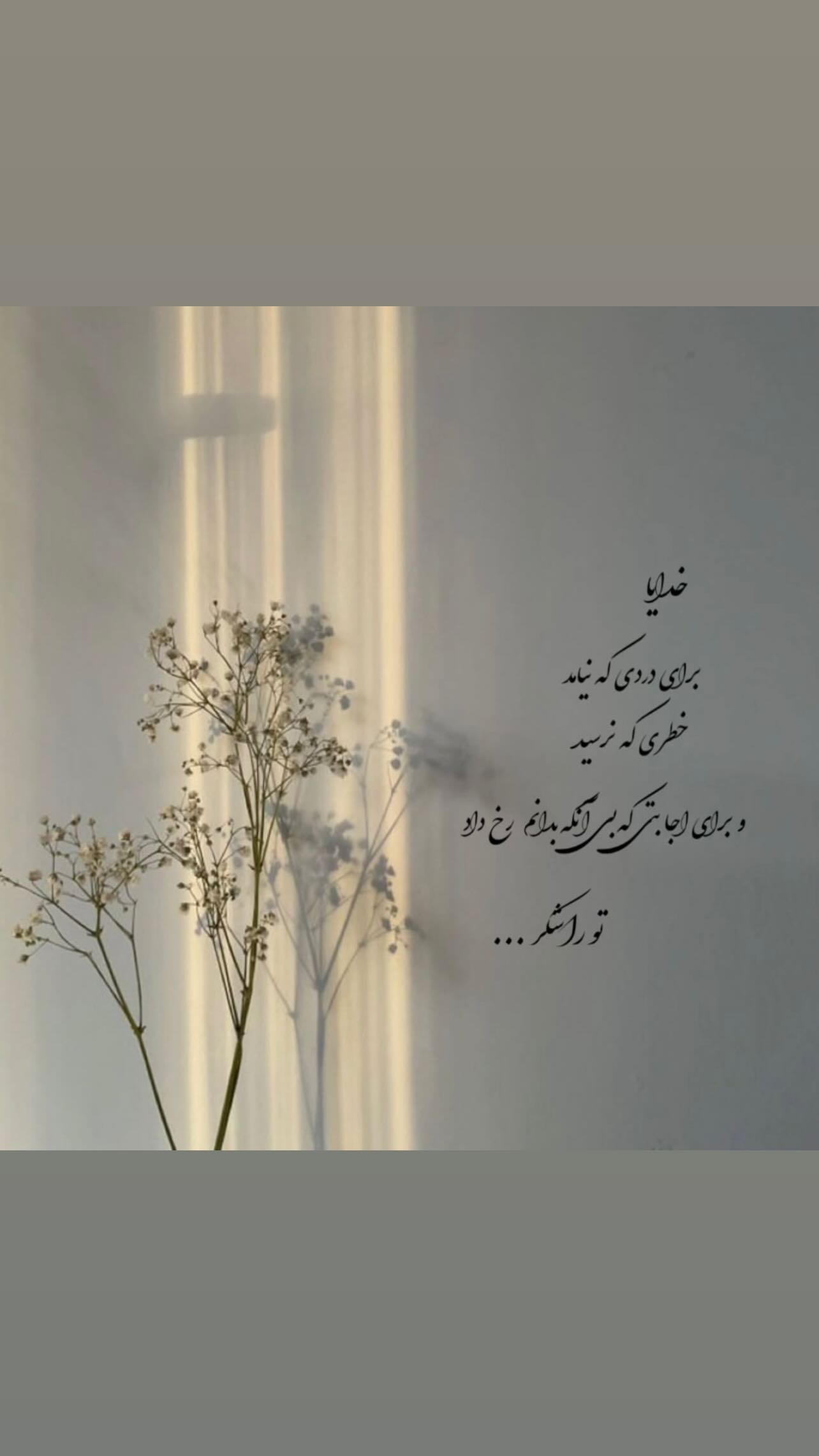  جدید ترین استوری اینستاگرام زهرا شوقى