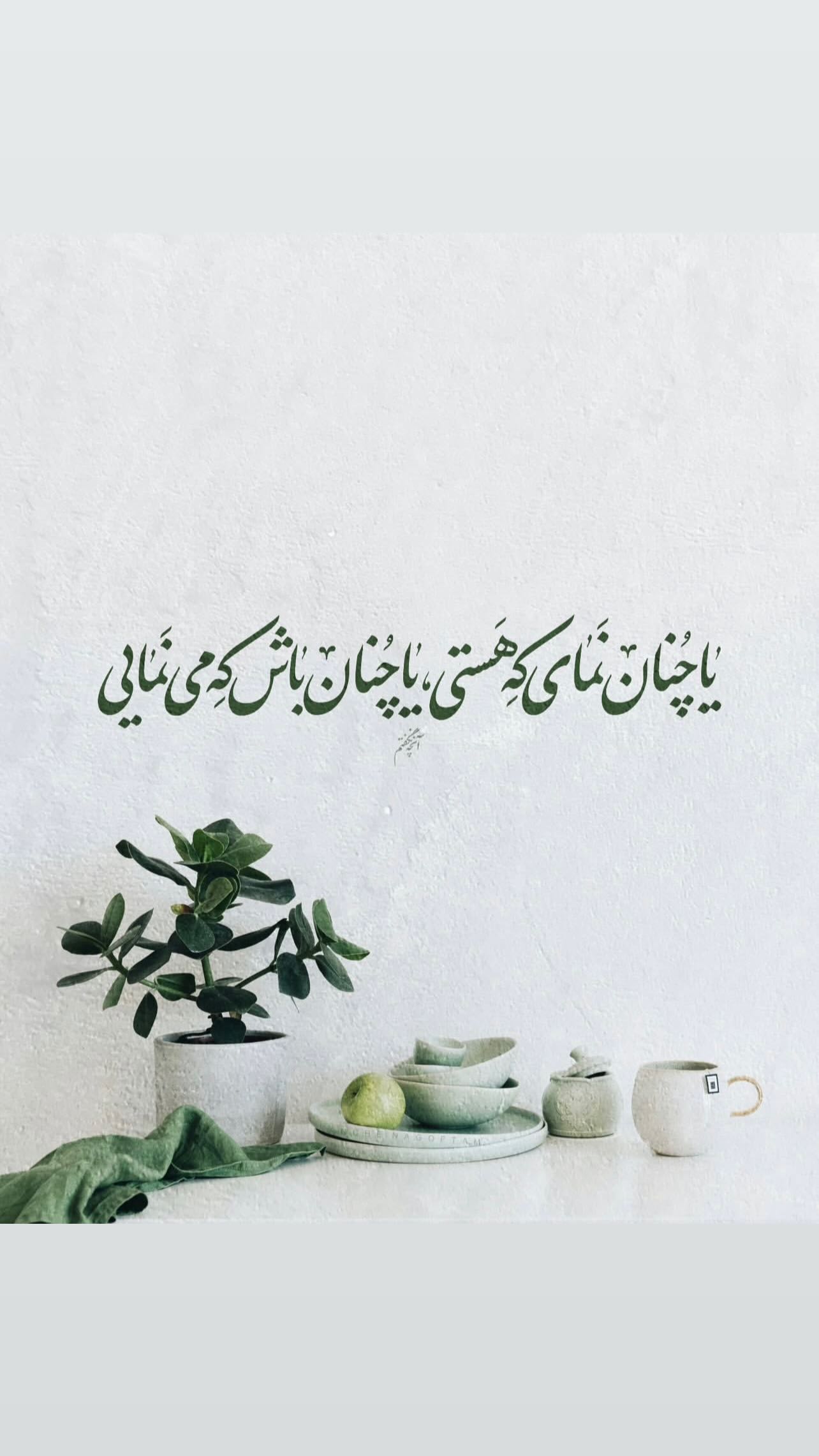  جدید ترین استوری اینستاگرام زهرا شوقى