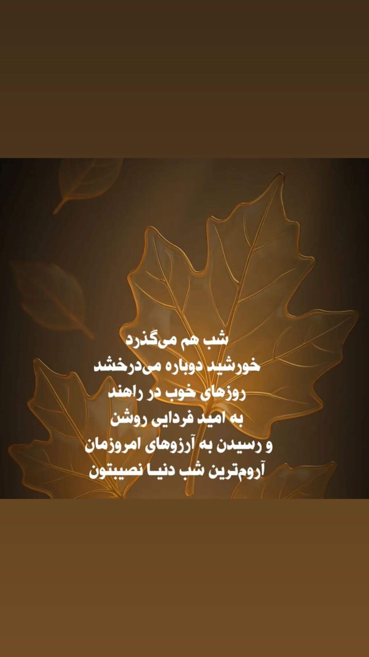  جدید ترین استوری اینستاگرام زهرا شوقى