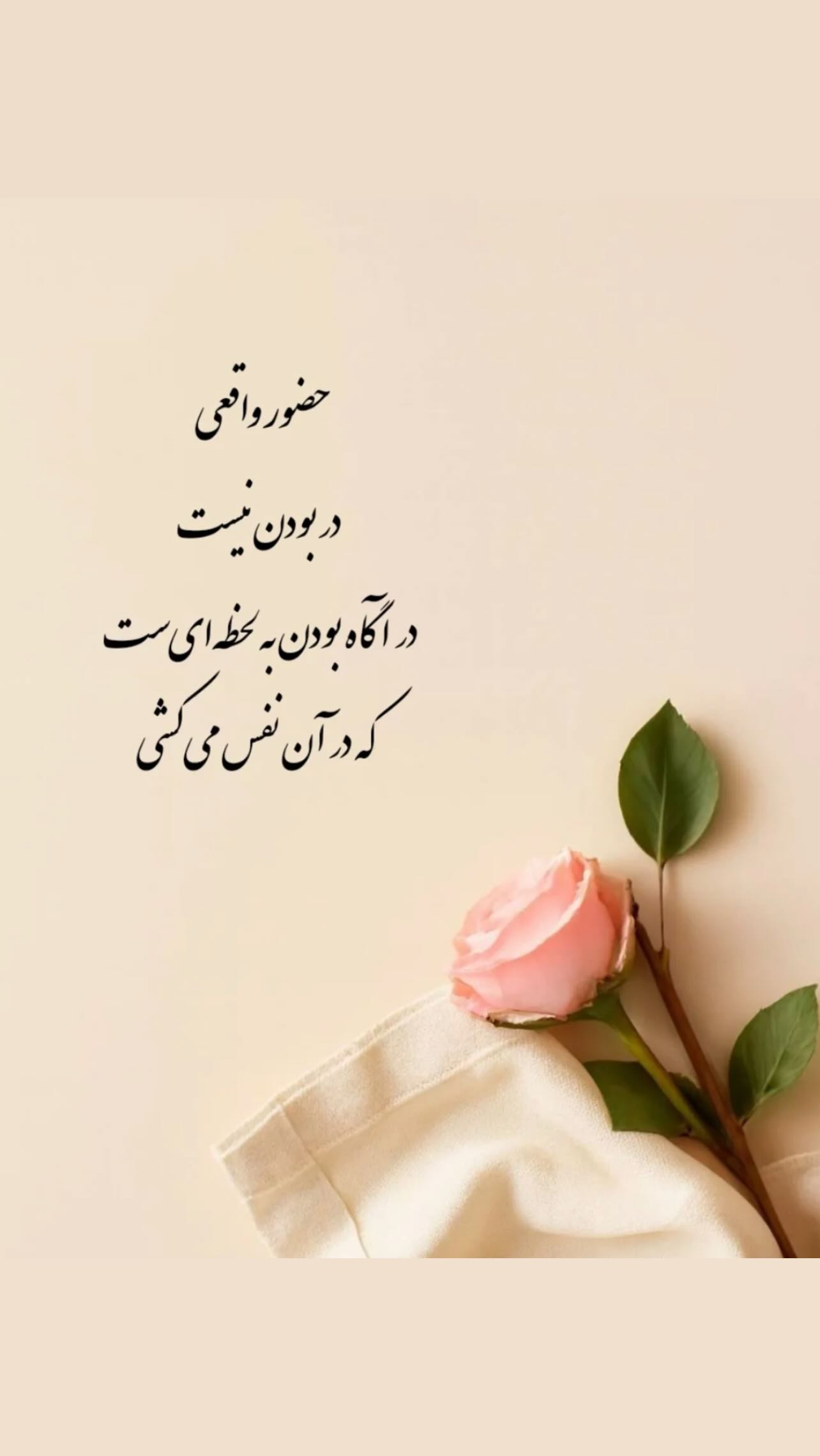  جدید ترین استوری اینستاگرام زهرا شوقى