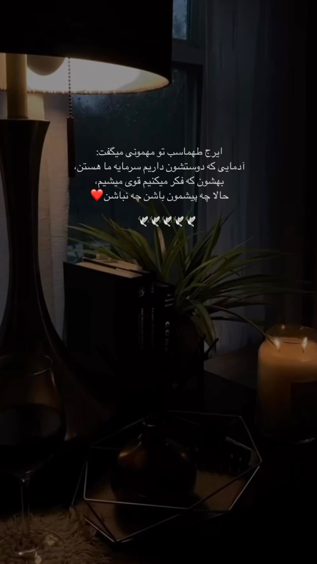  جدید ترین استوری اینستاگرام زهرا شوقى