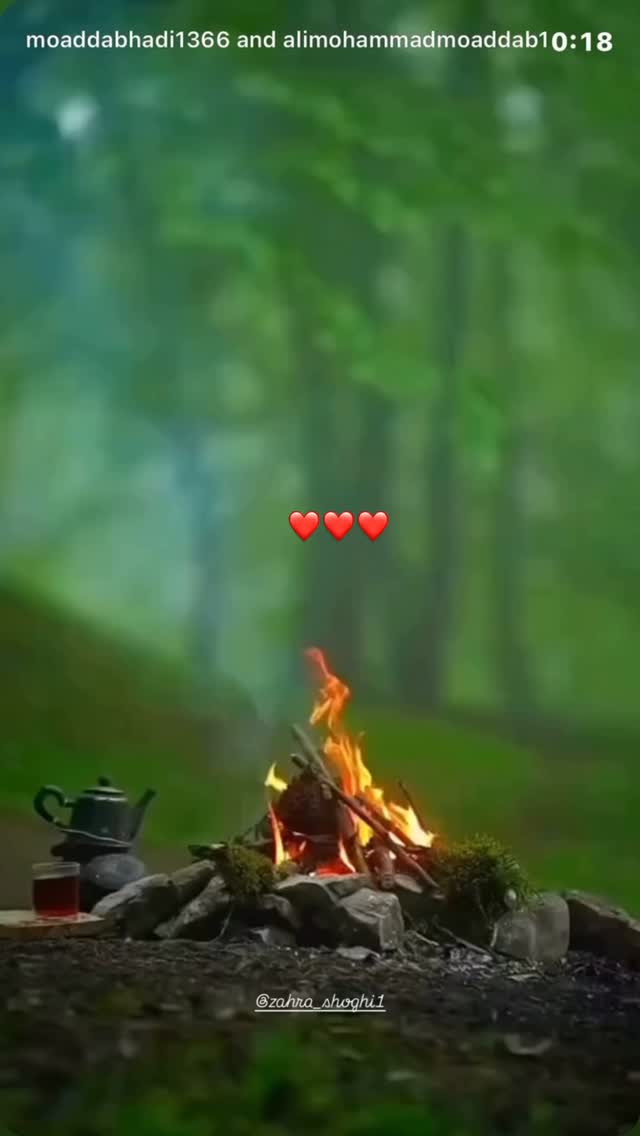  جدید ترین استوری اینستاگرام زهرا شوقى