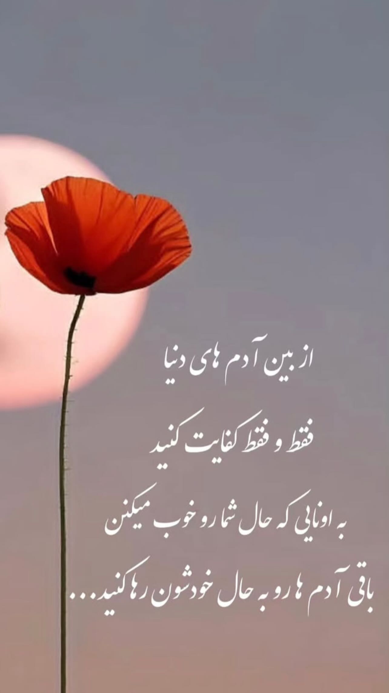  جدید ترین استوری اینستاگرام زهرا شوقى