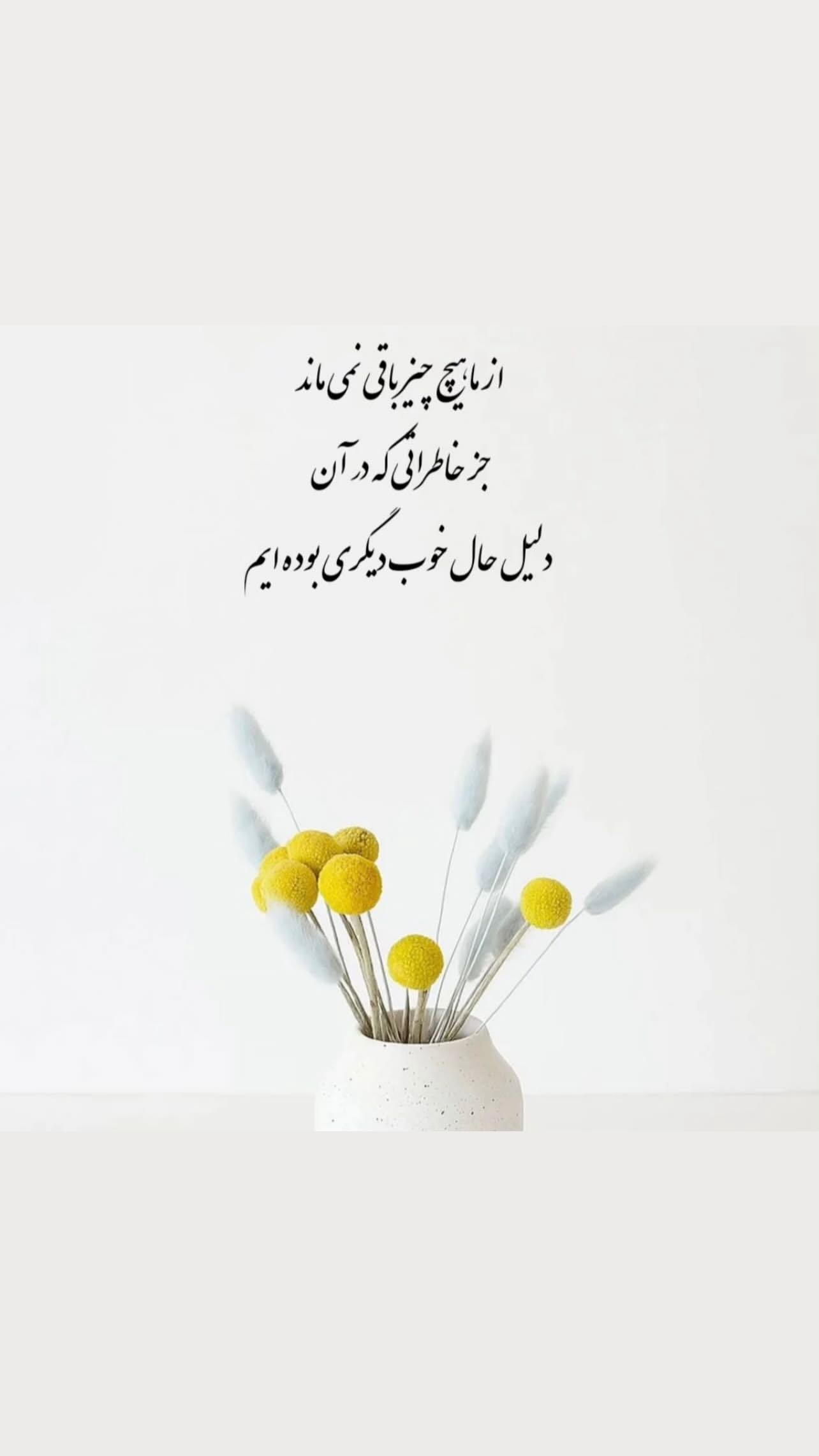  جدید ترین استوری اینستاگرام زهرا شوقى
