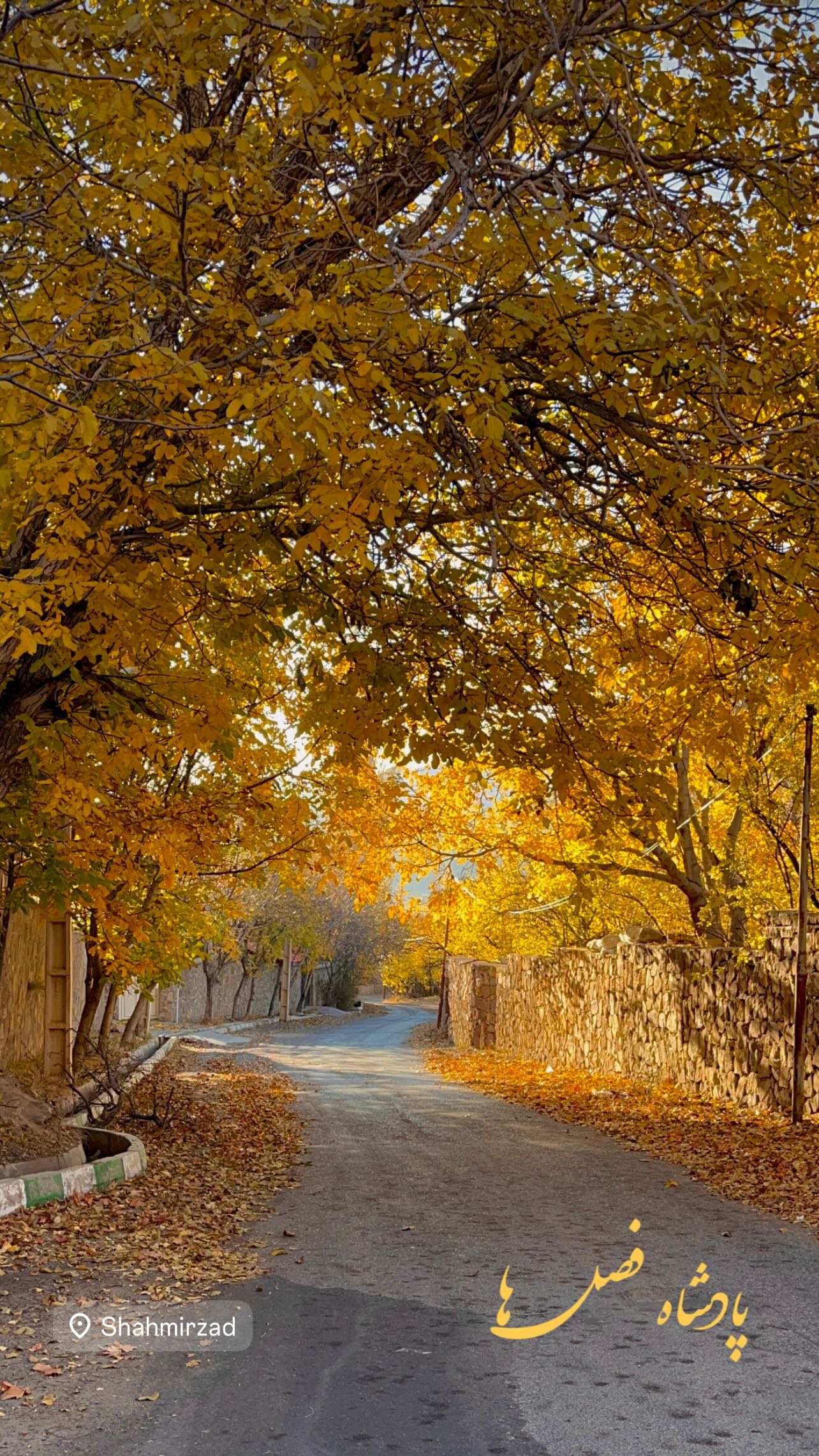  جدید ترین استوری اینستاگرام زهرا شوقى