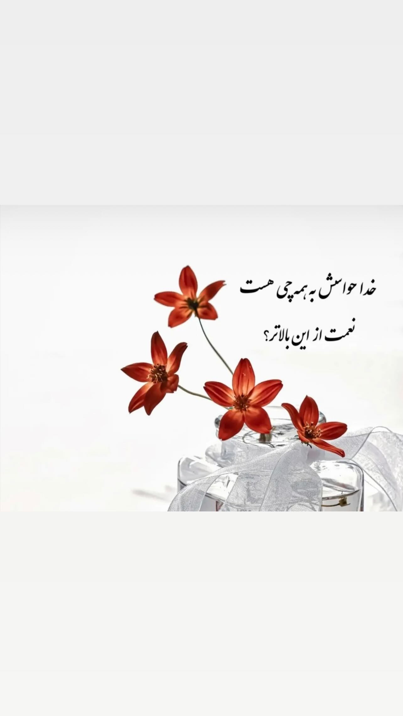  جدید ترین استوری اینستاگرام زهرا شوقى
