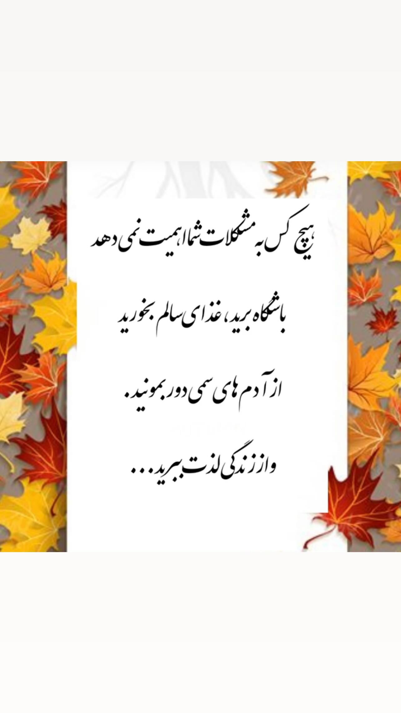  جدید ترین استوری اینستاگرام زهرا شوقى