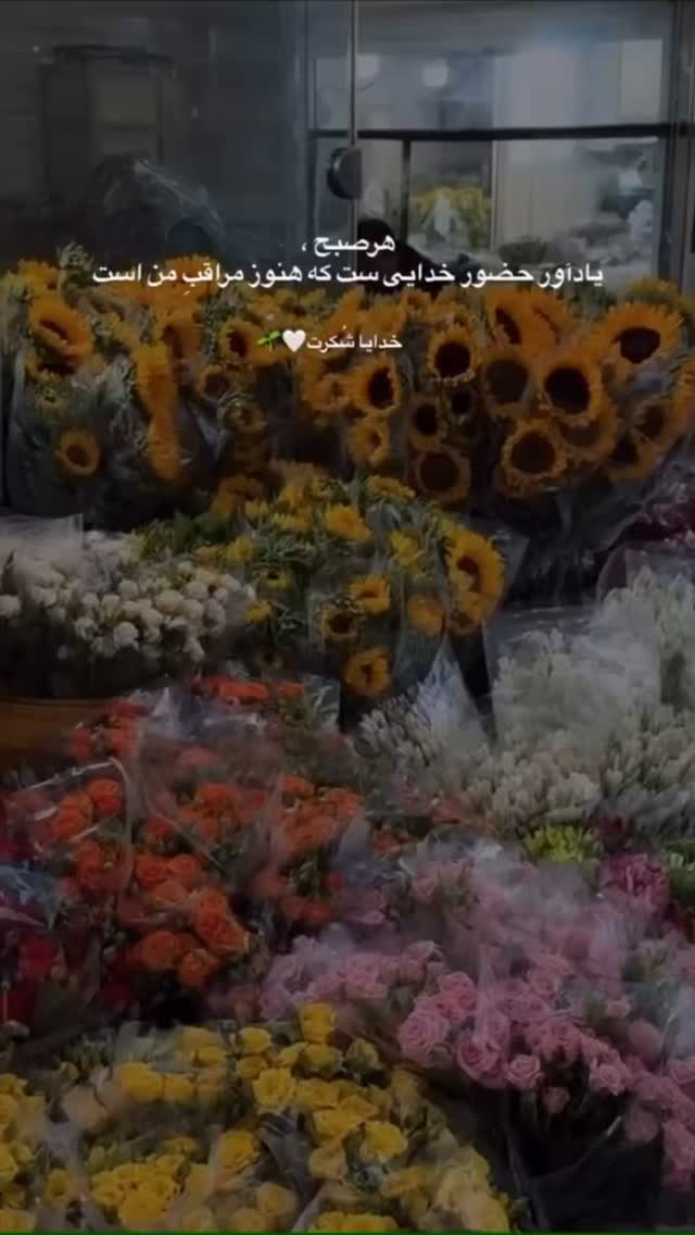  جدید ترین استوری اینستاگرام زهرا شوقى