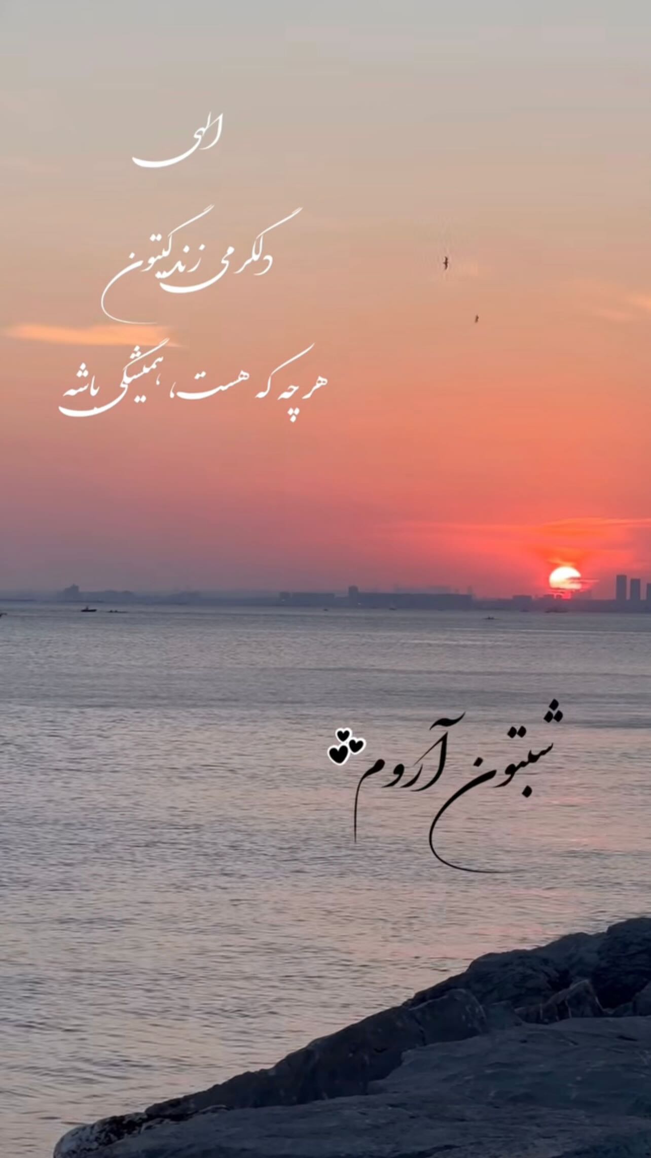  جدید ترین استوری اینستاگرام زهرا شوقى