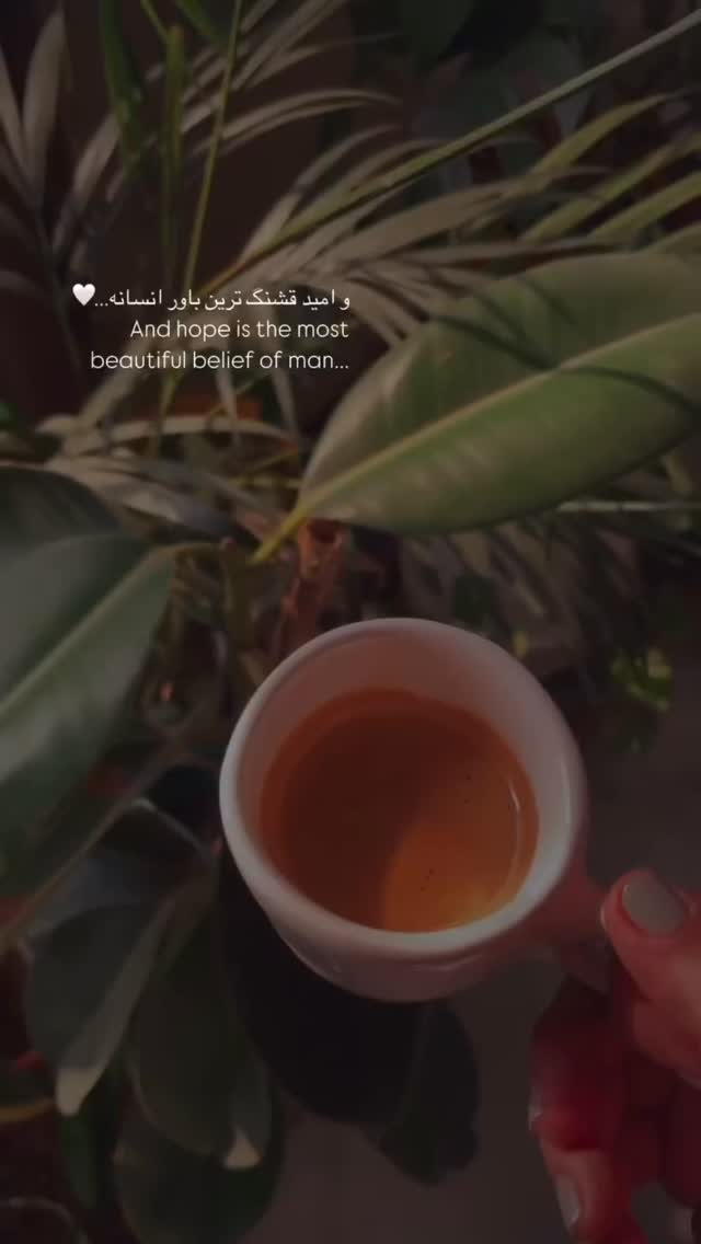  جدید ترین استوری اینستاگرام زهرا شوقى