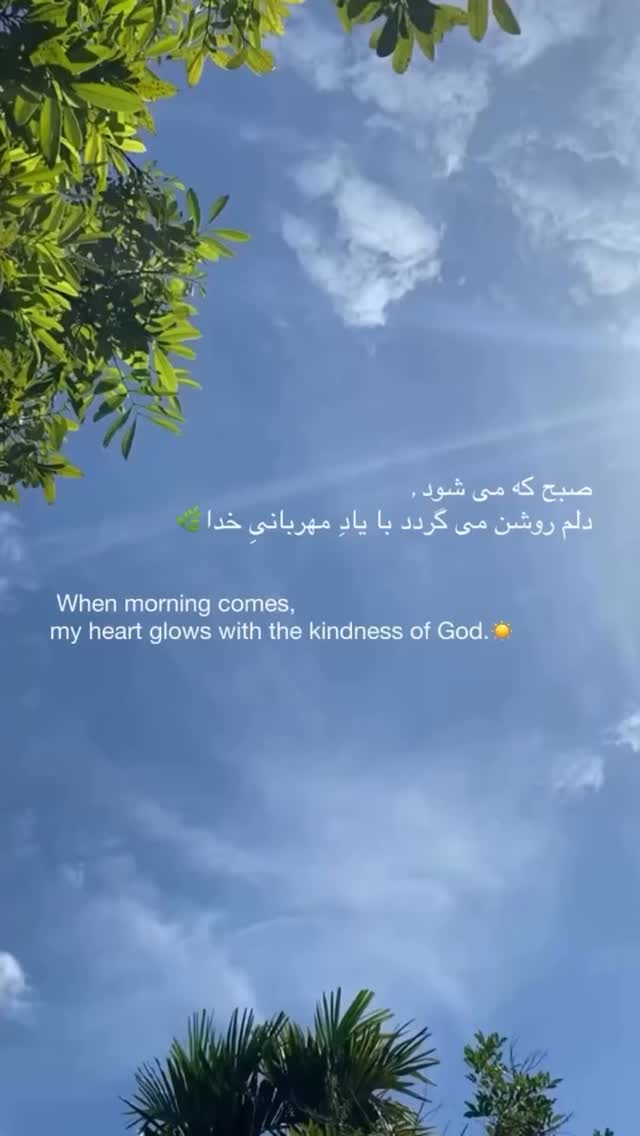  جدید ترین استوری اینستاگرام زهرا شوقى