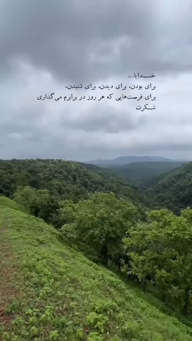  جدید ترین استوری اینستاگرام زهرا شوقى