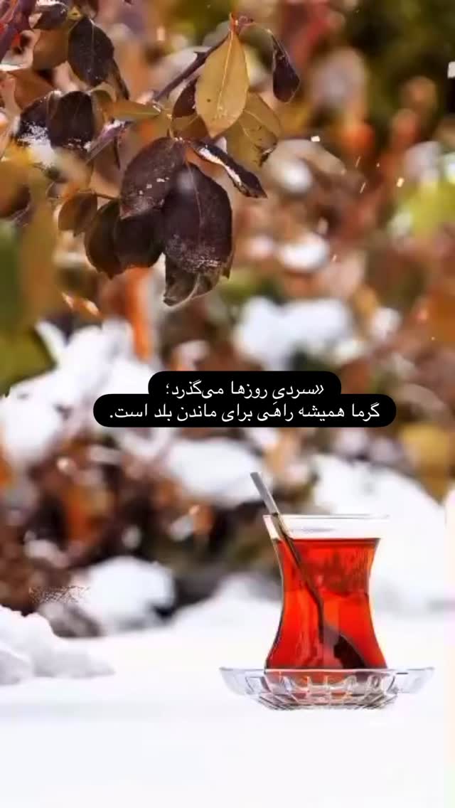  جدید ترین استوری اینستاگرام زهرا شوقى