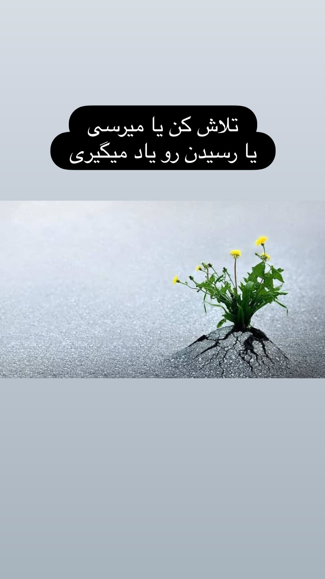  جدید ترین استوری اینستاگرام زهرا شوقى
