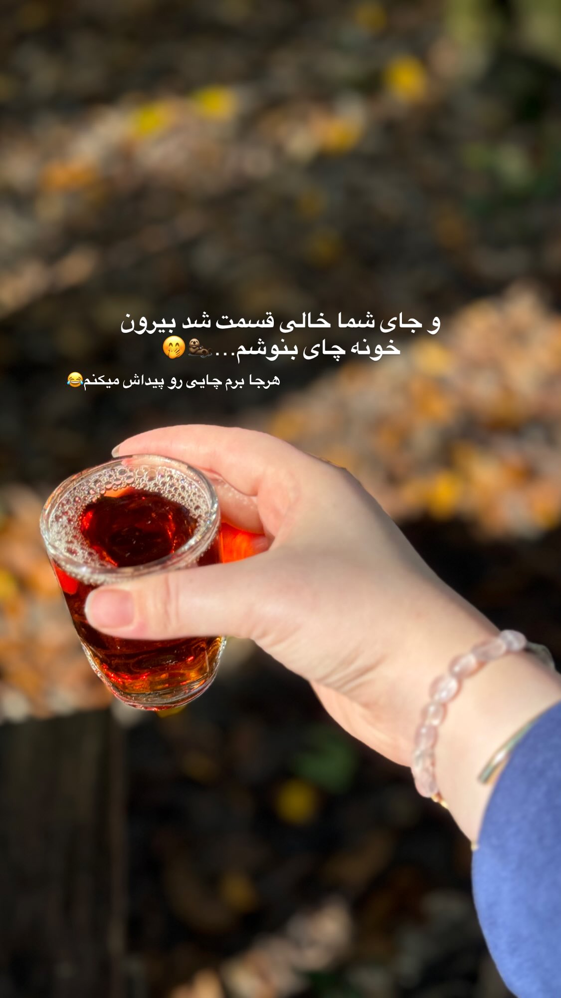  جدید ترین استوری اینستاگرام زهرا بصیری
