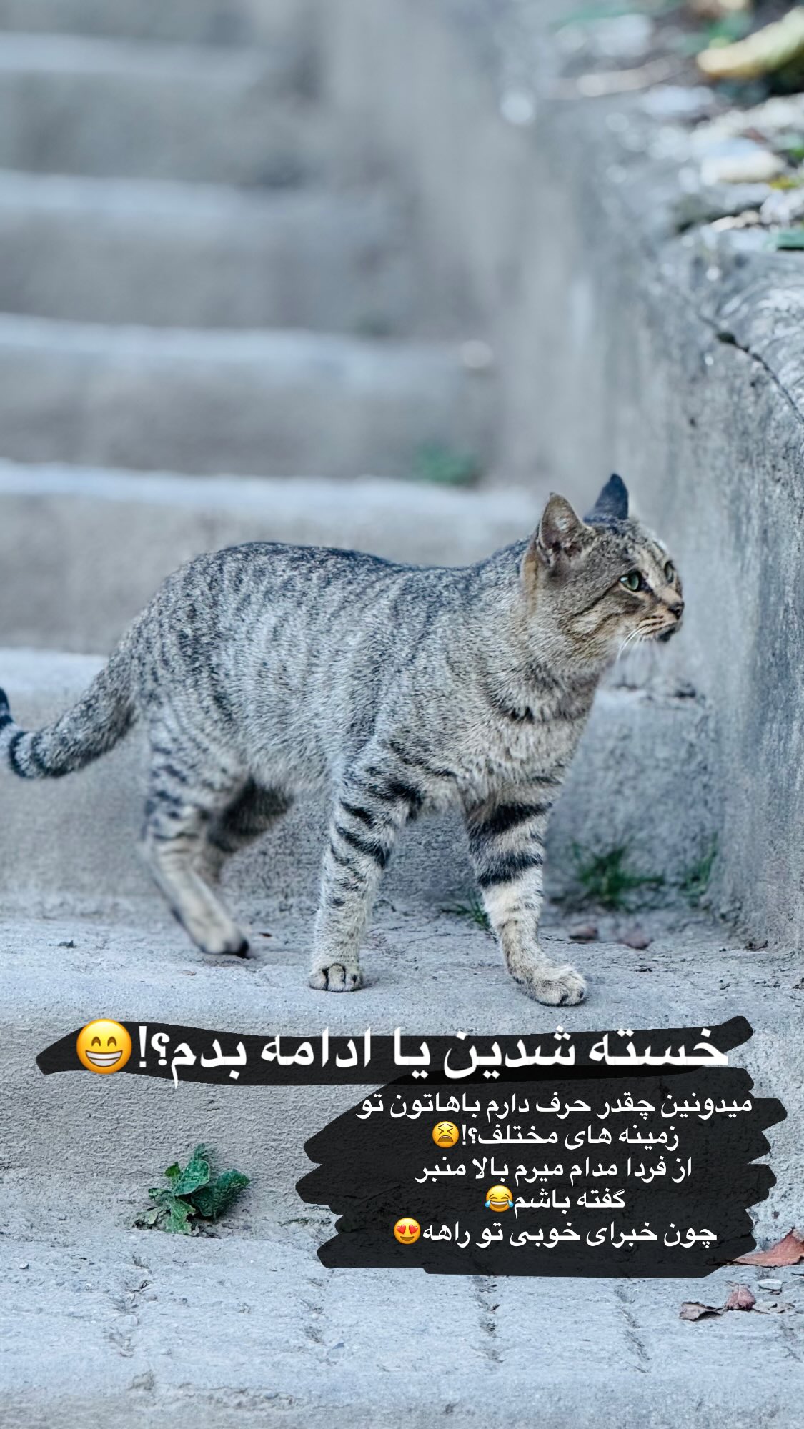  جدید ترین استوری اینستاگرام زهرا بصیری
