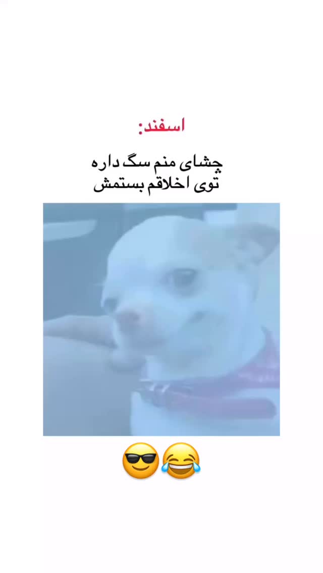  جدید ترین استوری اینستاگرام زهرا علی اکبری