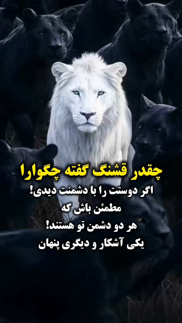  جدید ترین استوری اینستاگرام زهرا داوود نژاد