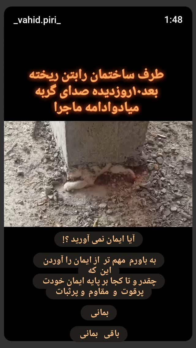  جدید ترین استوری اینستاگرام زهرا داوود نژاد