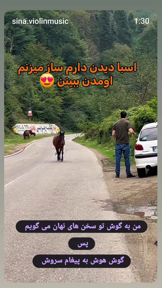  جدید ترین استوری اینستاگرام زهرا داوود نژاد