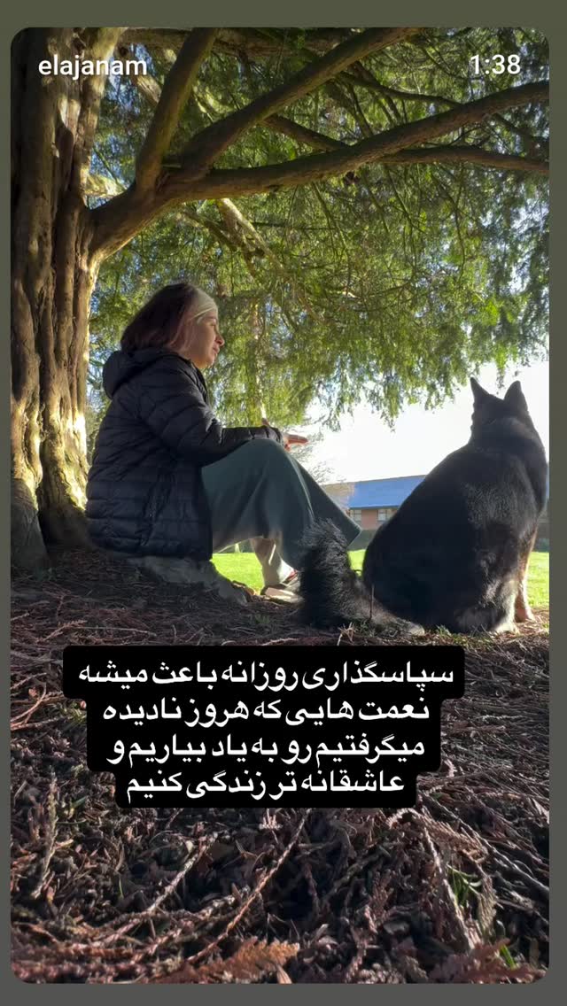  جدید ترین استوری اینستاگرام زهرا داوود نژاد