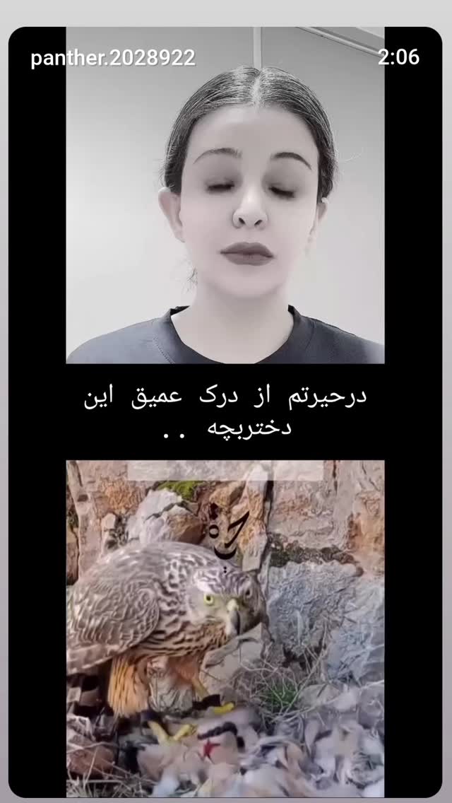  جدید ترین استوری اینستاگرام زهرا داوود نژاد