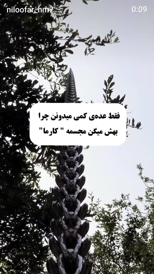  جدید ترین استوری اینستاگرام زهرا داوود نژاد