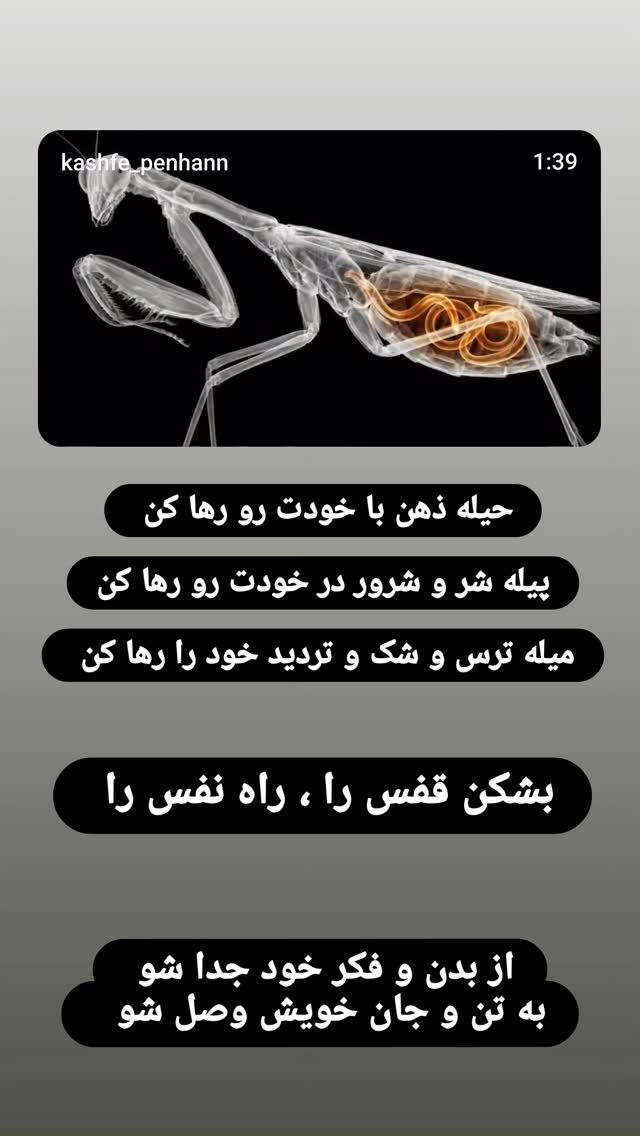  جدید ترین استوری اینستاگرام زهرا داوود نژاد