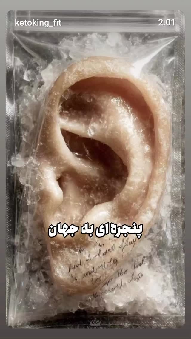  جدید ترین استوری اینستاگرام زهرا داوود نژاد