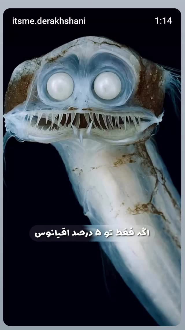  جدید ترین استوری اینستاگرام زهرا داوود نژاد