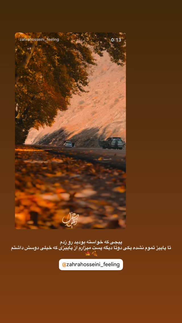  جدید ترین استوری اینستاگرام زهرا حسینی