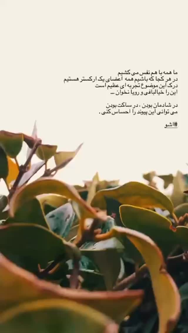  جدید ترین استوری اینستاگرام زهرا حسينى