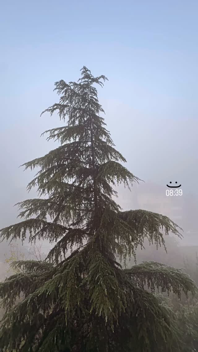  جدید ترین استوری اینستاگرام زهرا حسينى