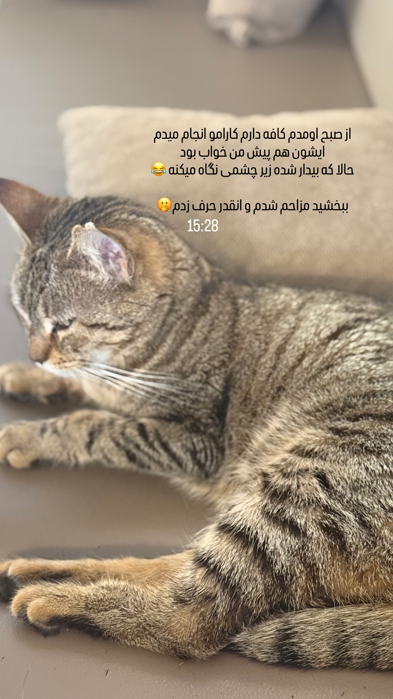  جدید ترین استوری اینستاگرام زهرا حسينى