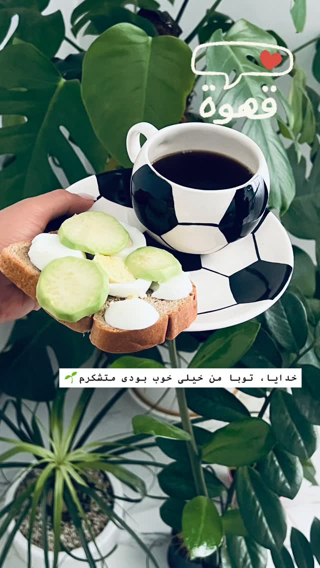  جدید ترین استوری اینستاگرام زهرا خواجوی