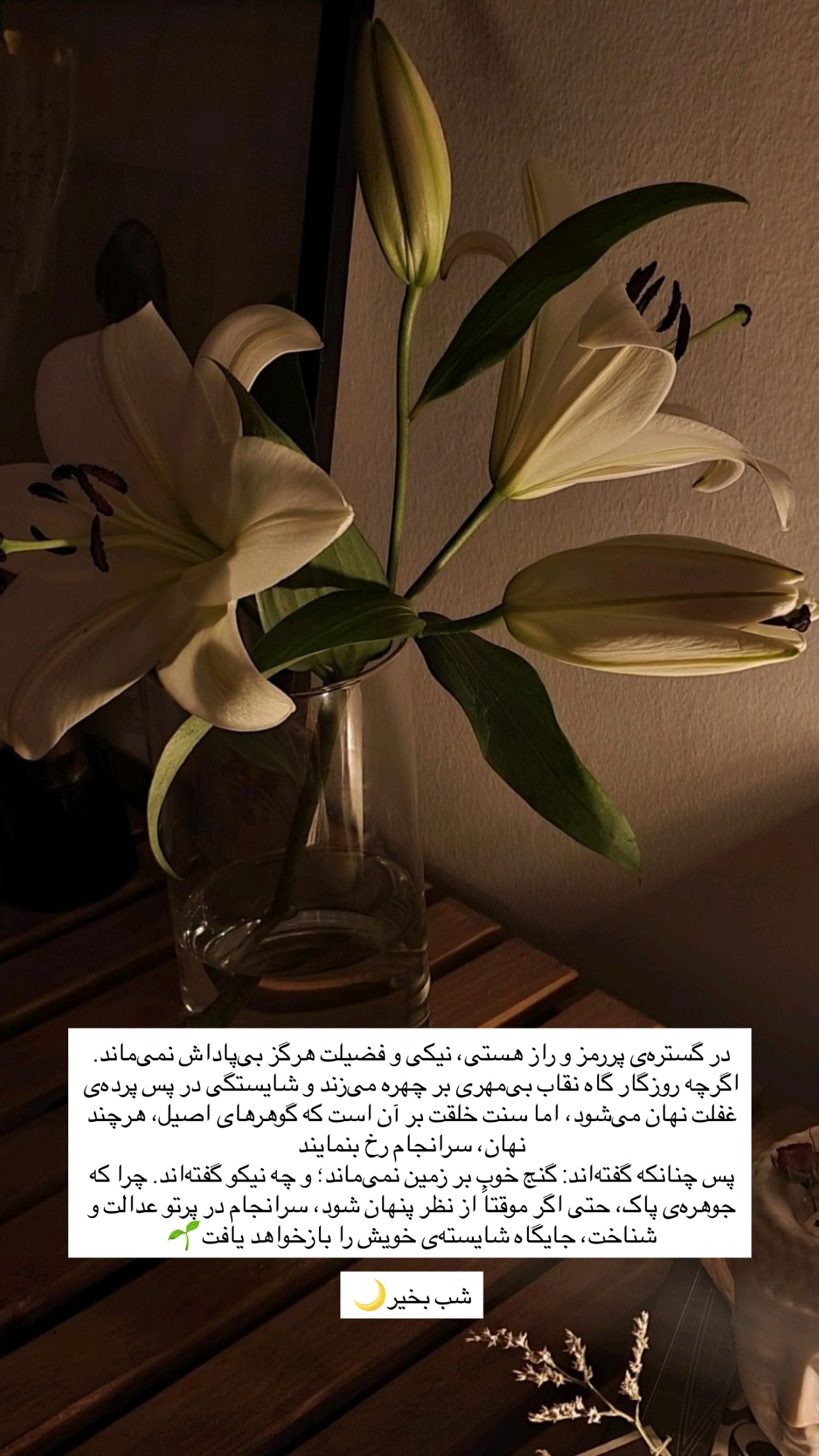  جدید ترین استوری اینستاگرام زهرا خواجوی
