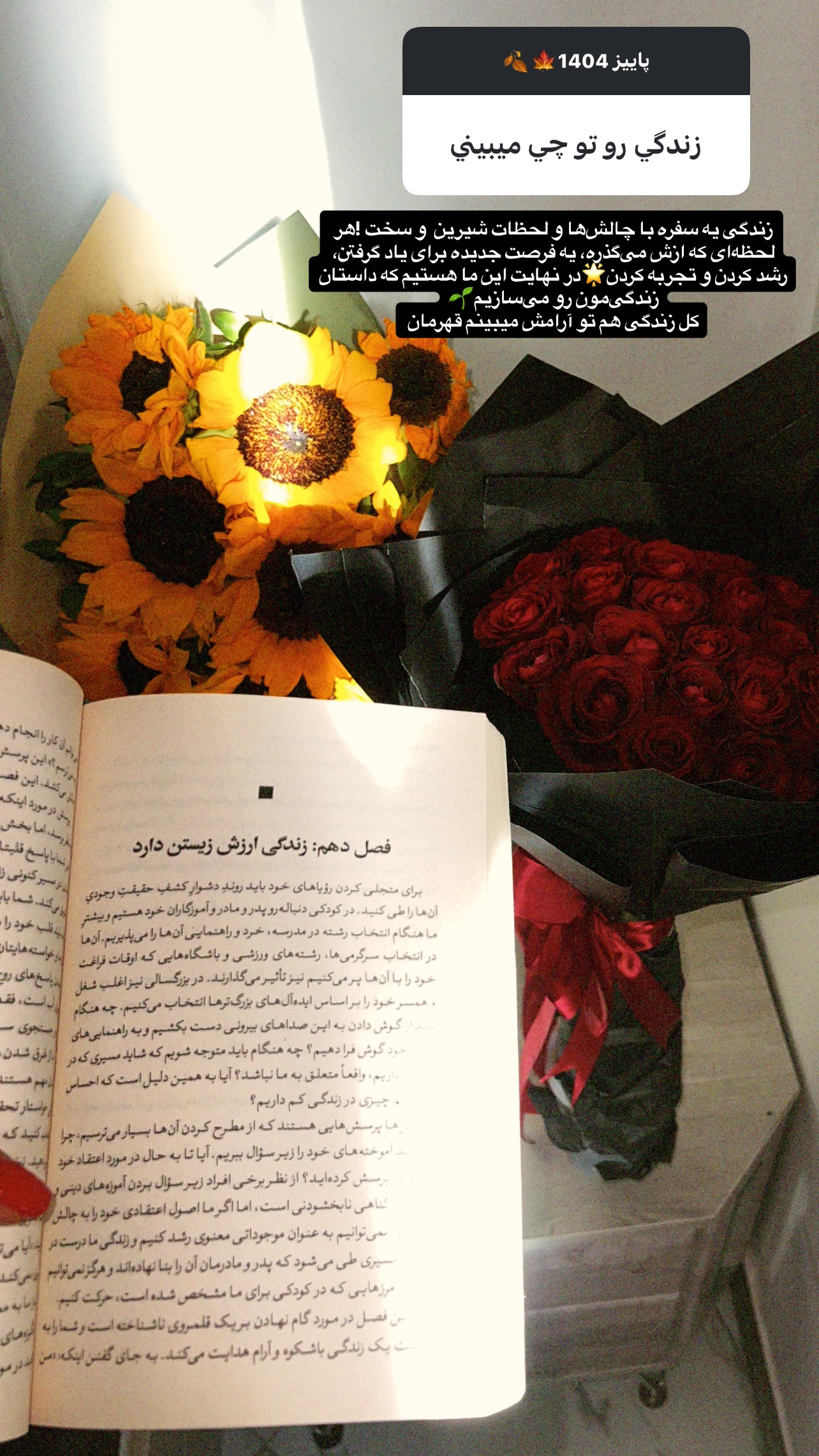  جدید ترین استوری اینستاگرام زهرا خواجوی