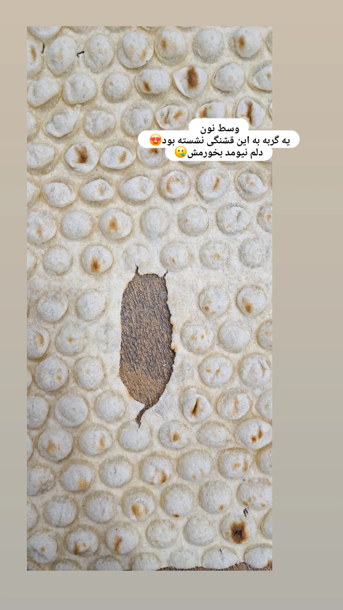  جدید ترین استوری اینستاگرام زهرا نبئی