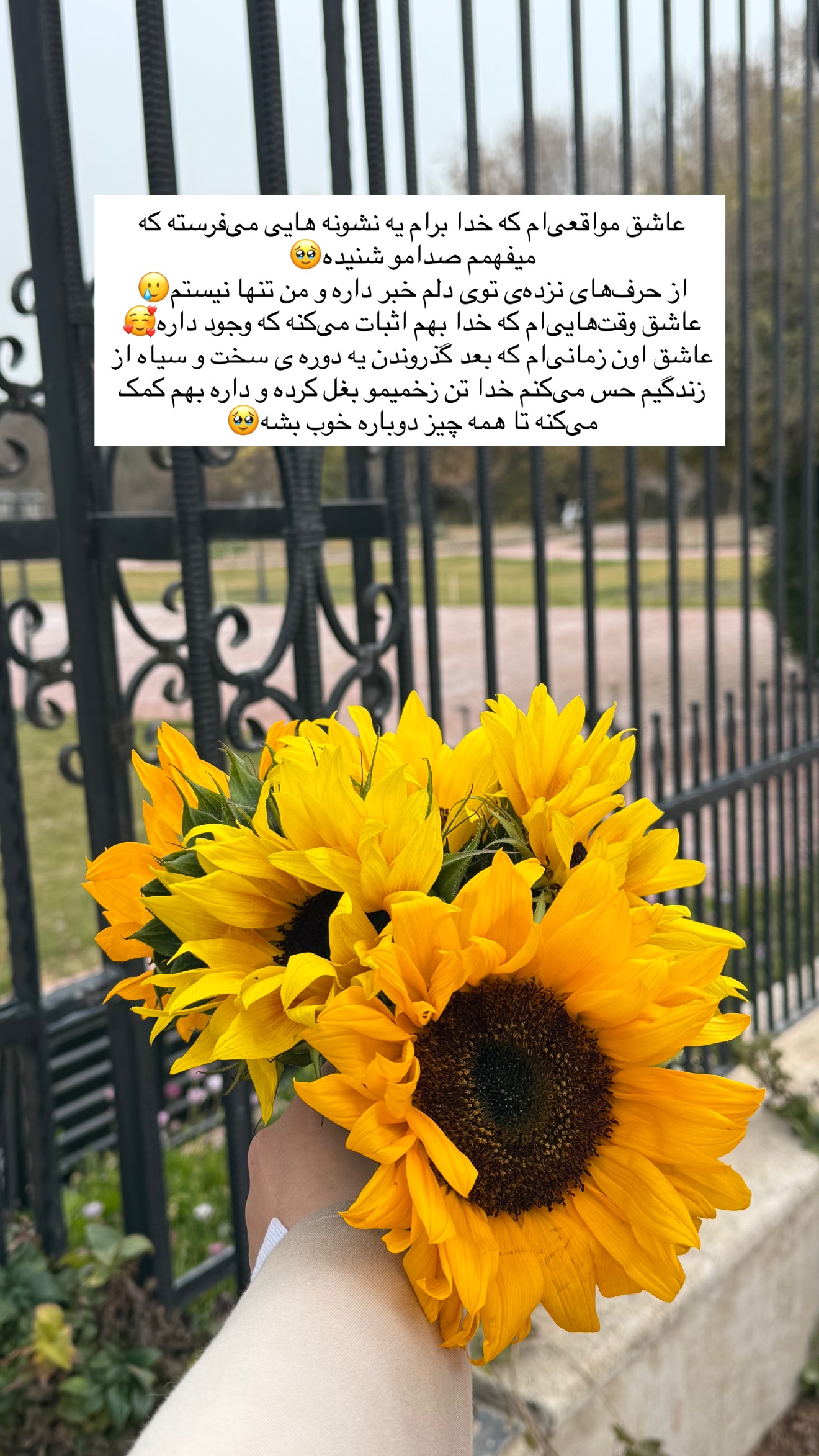  جدید ترین استوری اینستاگرام زهرا پيشه ور