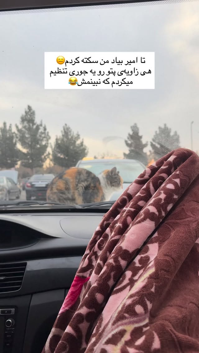  جدید ترین استوری اینستاگرام زهرا پيشه ور