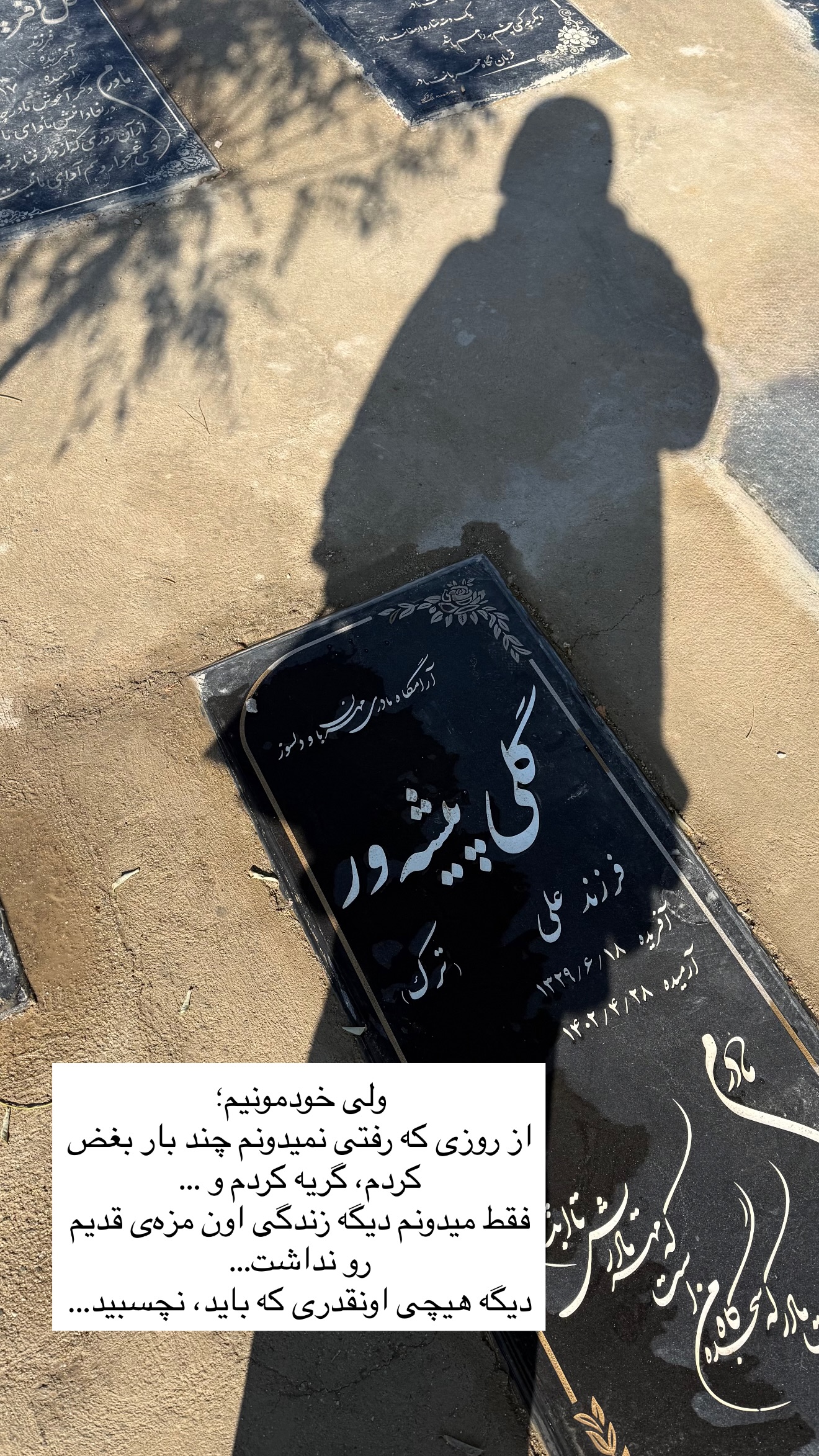 جدید ترین استوری اینستاگرام زهرا پيشه ور