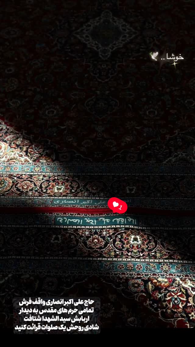  جدید ترین استوری اینستاگرام زهرا شاهین فر