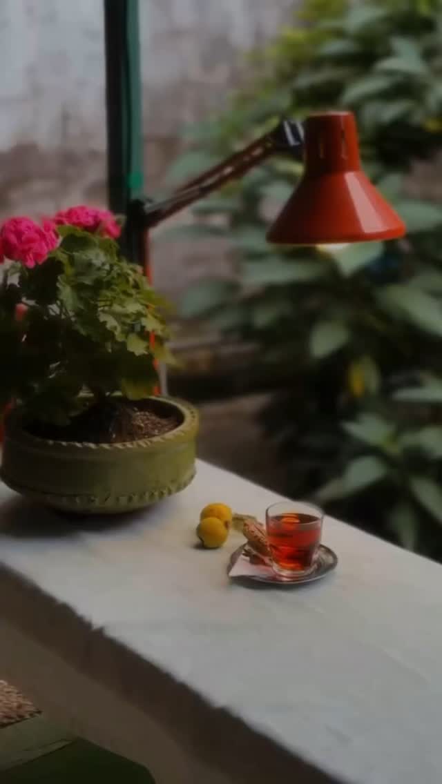  جدید ترین استوری اینستاگرام زهرا شاهین فر