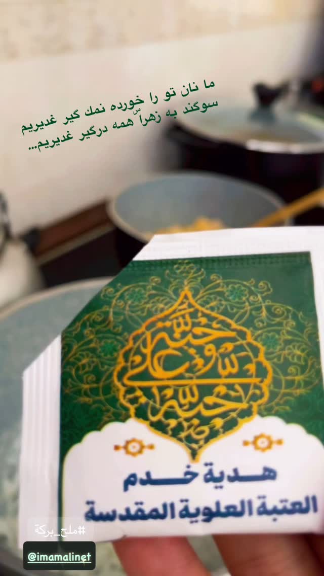  جدید ترین استوری اینستاگرام زهرا شاهین فر