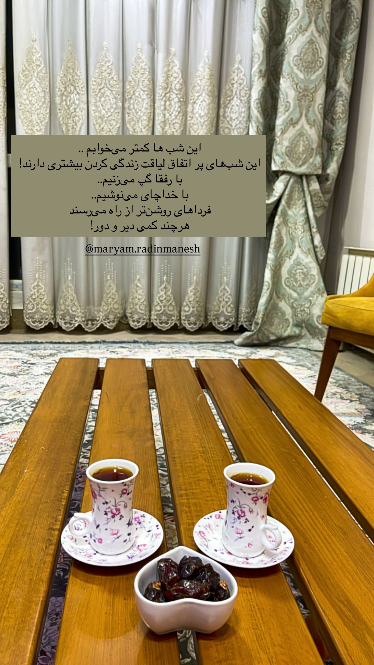  جدید ترین استوری اینستاگرام زهرا شاهین فر
